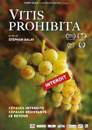 archives gard vin vigne bacchus exposition vitis prohibita film documentaire Stephan BALAY