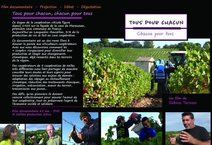 Archives Gard projection vigne vin Bacchus vendanges