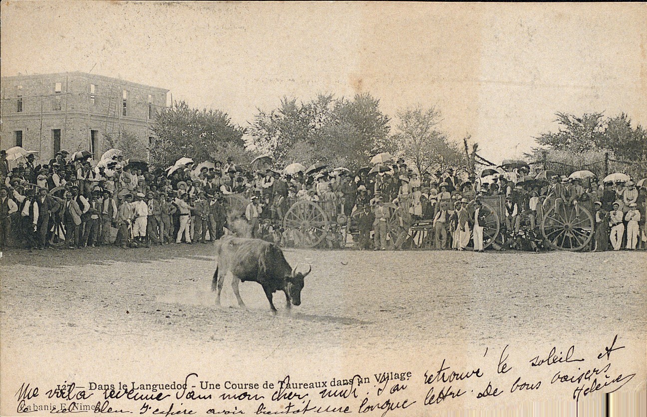 CORRIDA AVEC MISE A MORT – Association Le GRAAL